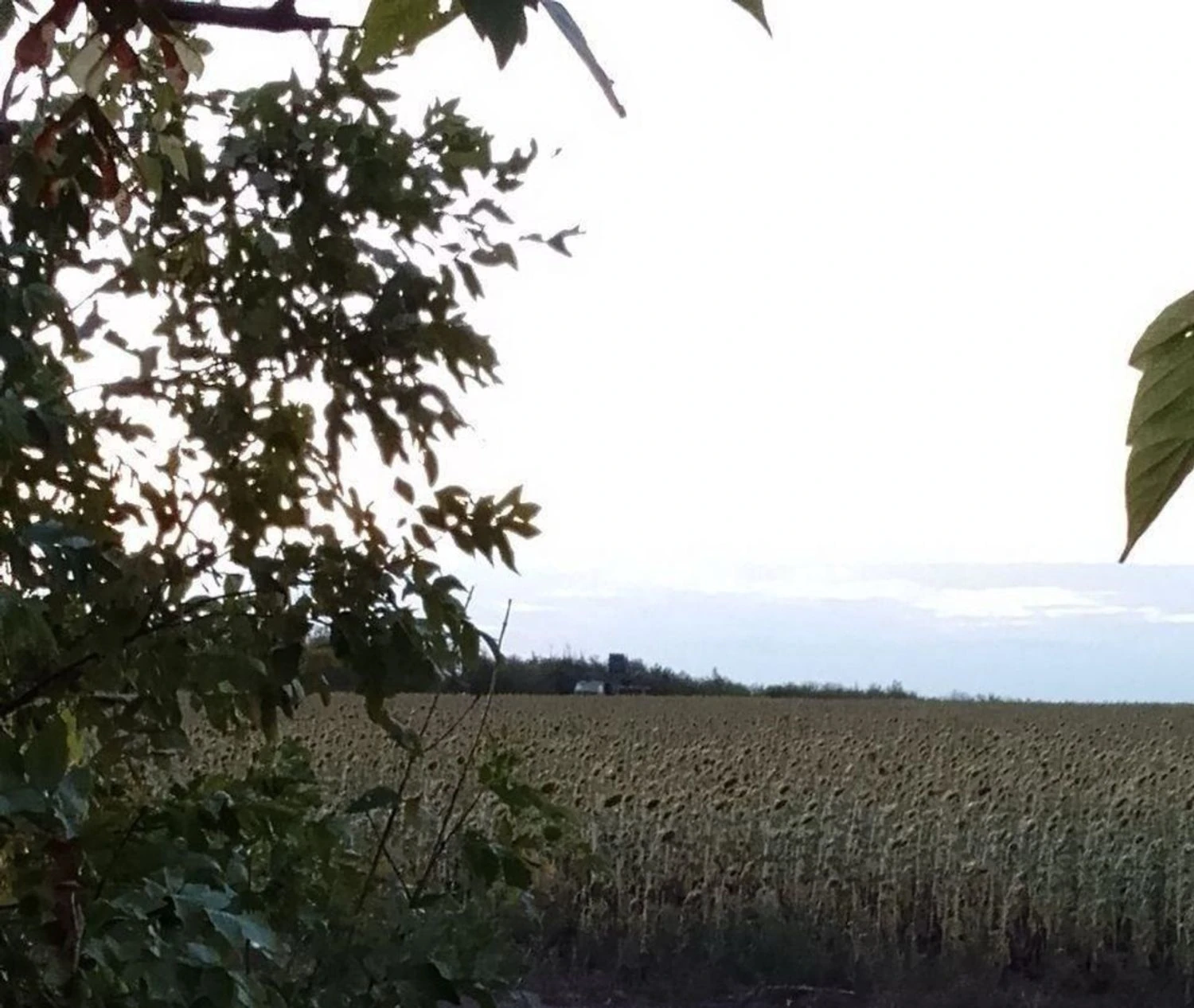 Українські Національні Новини (УНН)