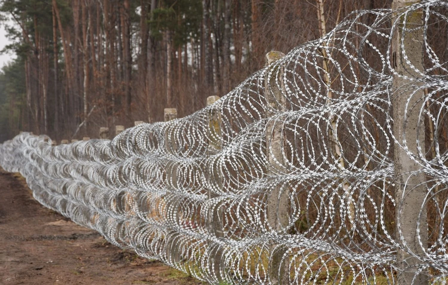 Україна моніторить ситуацію з білорусі, конкретної великої загрози для півночі України не бачимо - член комітету з нацбезпеки