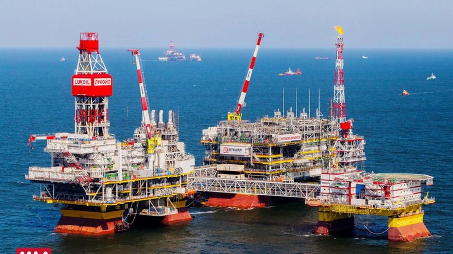 Українські Національні Новини (УНН)