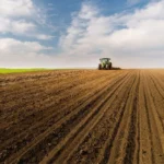 Українські Національні Новини (УНН)