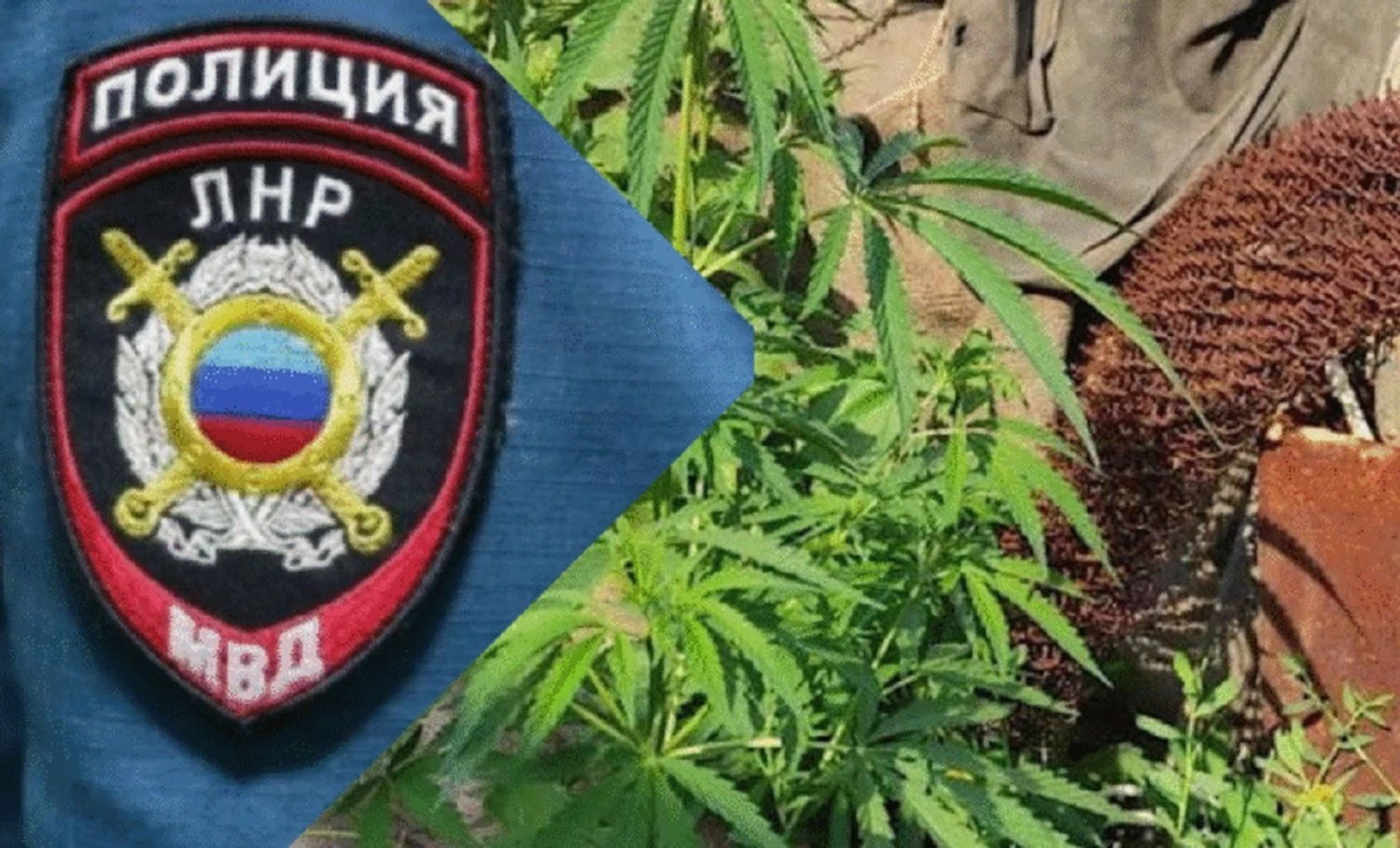 Наркозлочинність серед підлітків на Луганщині зросла вчетверо з початку 2025 року – ЦНС