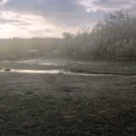 Українські Національні Новини (УНН)