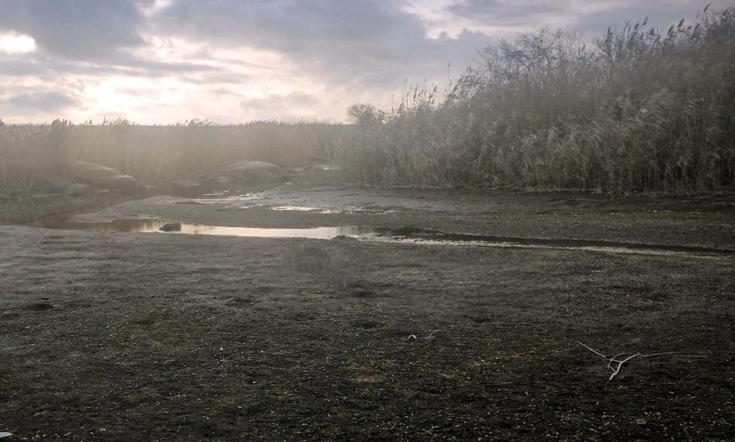 Українські Національні Новини (УНН)