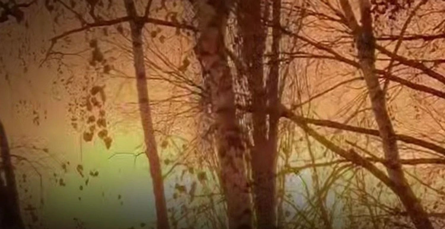 Генштаб підтвердив ураження Саратовського НПЗ, складу дронів на аеродромі "Саки" та інших об'єктів окупантів