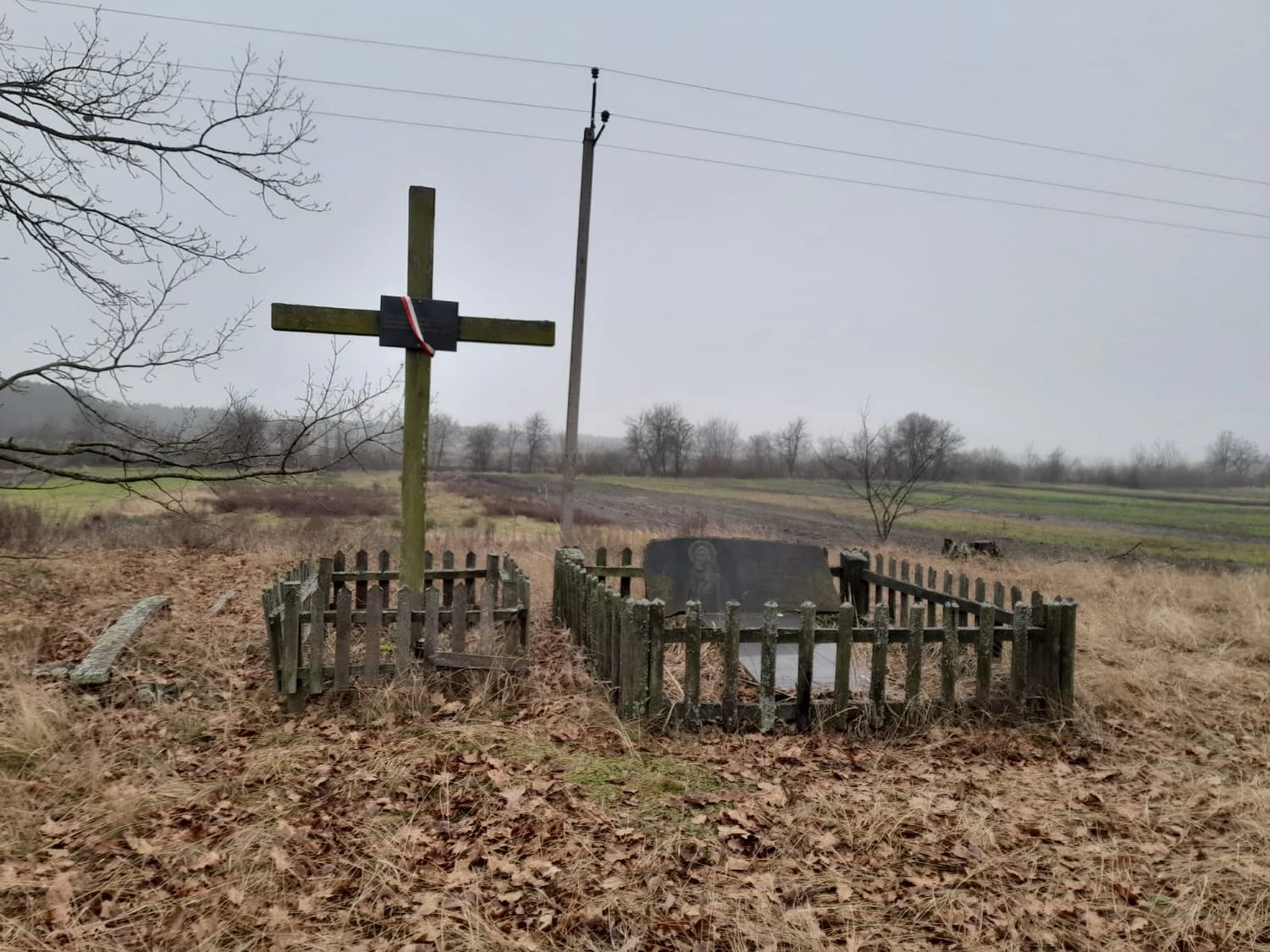 Україна та Польща готуються до нових пошукових робіт на Рівненщині навесні - Мінкульт