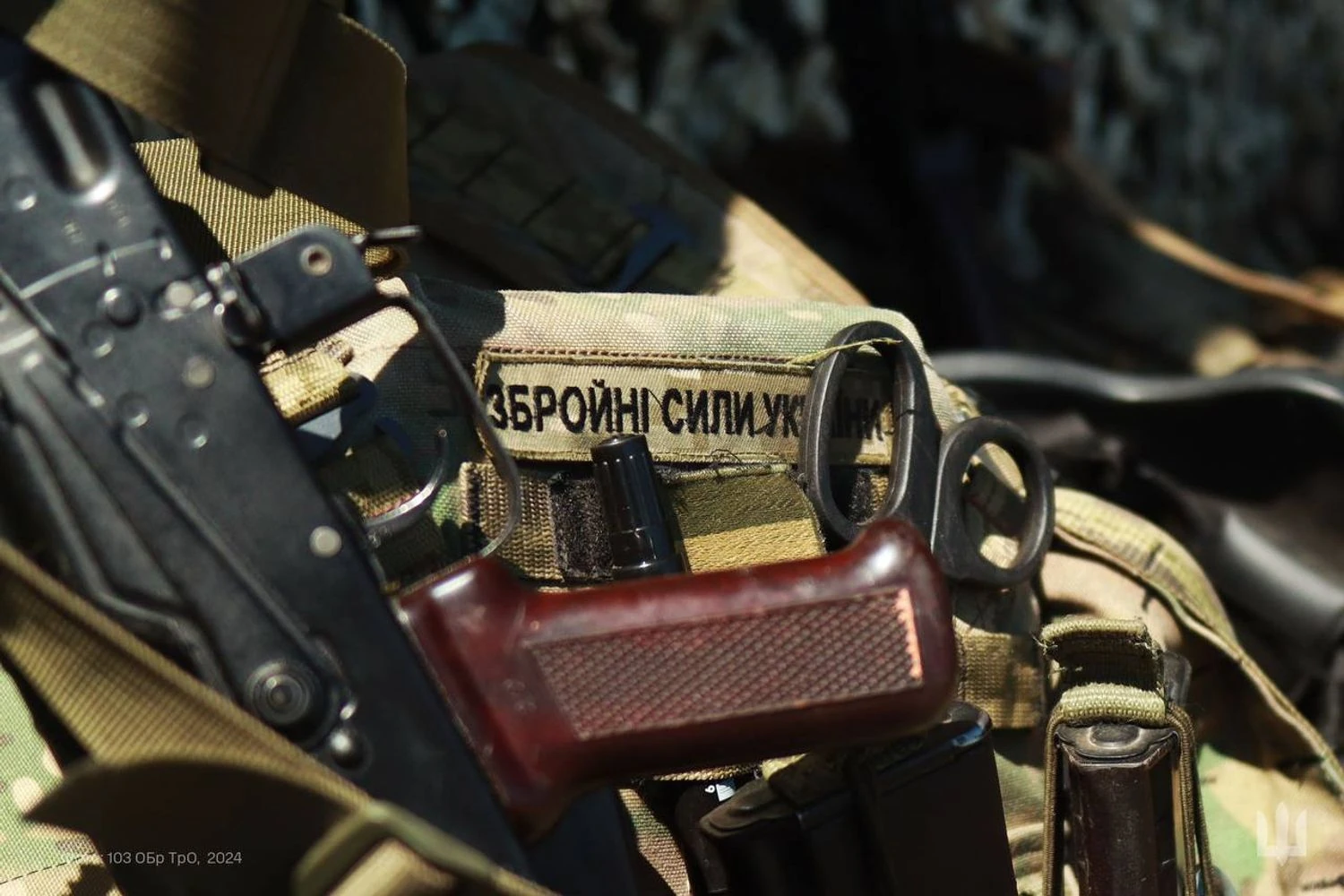 "Сталевий дикобраз": Politico дізналося про "план Б" України для захисту після війни, якщо гарантії безпеки виявляться марними