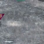 Десантники 77-ї бригади ДШВ показали ліквідацію групи окупантів біля Загризового на Куп'янському напрямку