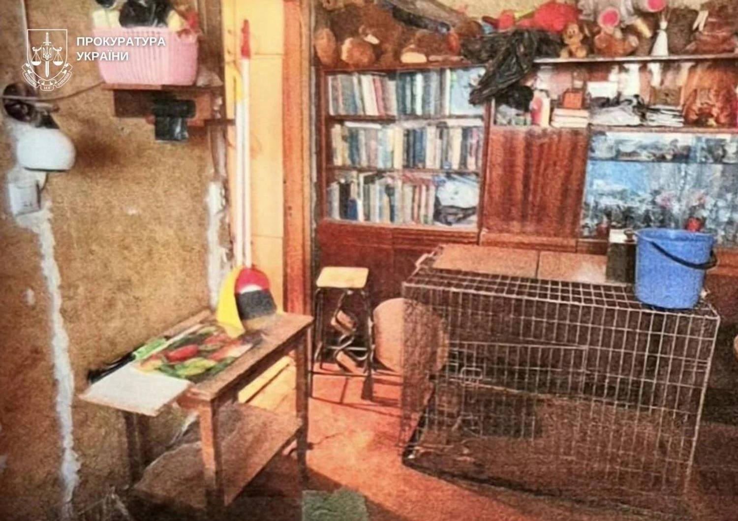 Вовк накинувся на власницю, а лисиця загинула - киянці, яка тримала у квартирі диких тварин, повідомили про підозру