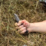 У Запоріжжі під час обшуку чоловік з ножем накинувся на поліцейських: троє правоохоронців поранені, нападника застрелили